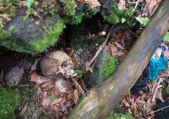 地球上10大最毛骨悚然的恐怖地帶,青木原、三芝度假區都很恐怖