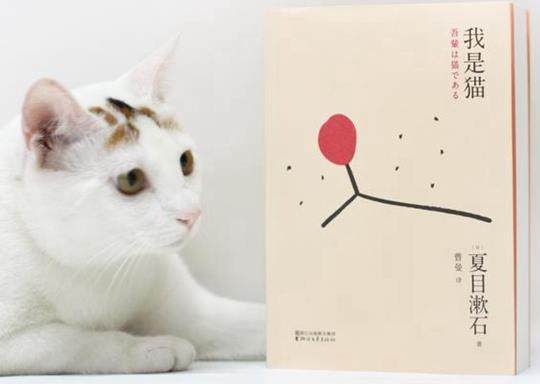 日本十大文學名著排行榜,《源氏物語》《雪國》都非常受歡迎