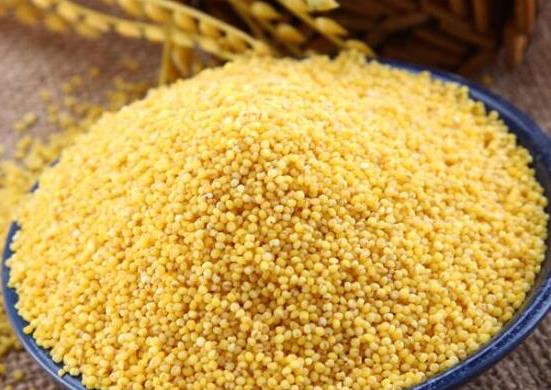 十大最健康的主食品種,燕麥能調節血糖、紫米軟糯適口