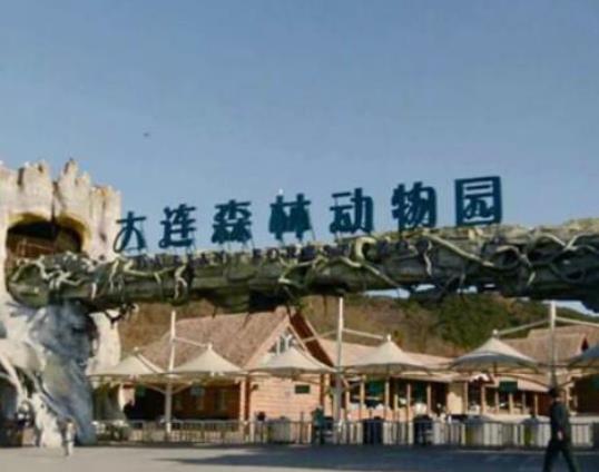 大連十大最好玩的景點(diǎn)排名,老虎灘海洋公園、金石灘風(fēng)景名勝區(qū)很浪漫