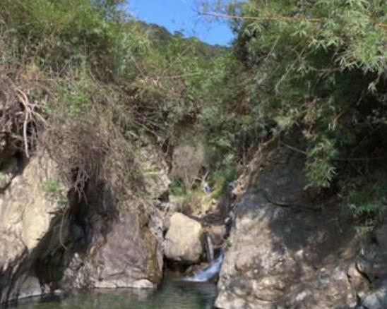 廣州十大自駕游景點,廣東石門國家森林公園、溪頭旅游村景區自由度高