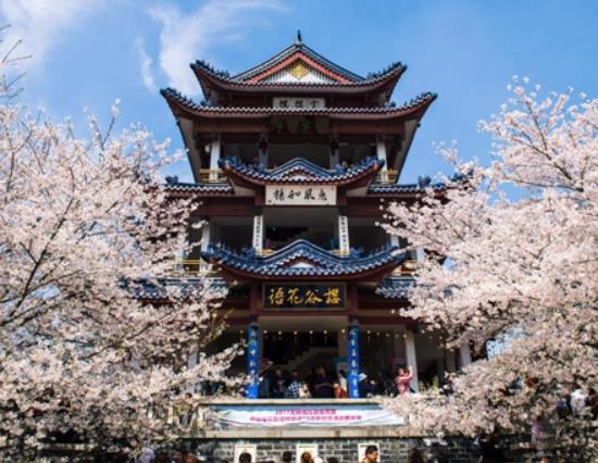 無(wú)錫十大著名景點(diǎn)排行榜,太湖吸引眾多游客、黿頭渚山水風(fēng)光美