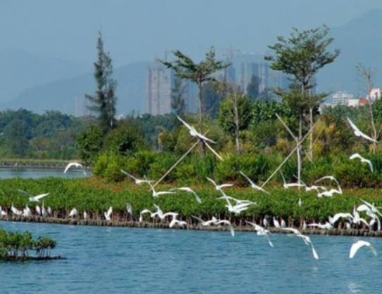南京十大著名湖泊排行榜,紫霞湖是5A級景區、玄武湖夜游也很美