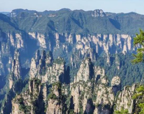 中國十大世界自然遺產(chǎn),九寨溝景區(qū)、神農(nóng)架旅游區(qū)都是原生態(tài)旅游區(qū)