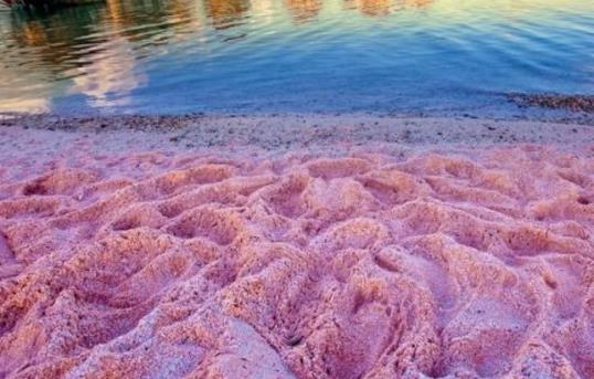 全球最有特色的沙灘排行榜 全球最有特色的沙灘在哪里