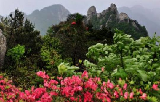 安徽旅游景點排行榜 安徽有什么好玩的地方去旅游