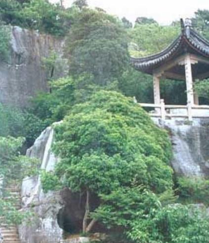 廣東十大旅游景點排行榜 廣東有什么好玩的地方去旅游