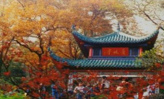 湖南十大旅游景點排行榜 湖南有什么好玩的地方去旅游