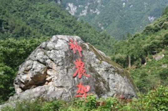 湖北十大旅游景點排行榜 湖北有什么好玩的地方去旅游