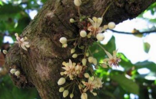 海南十大旅游景點排行榜 海南有什么好玩的地方去旅游