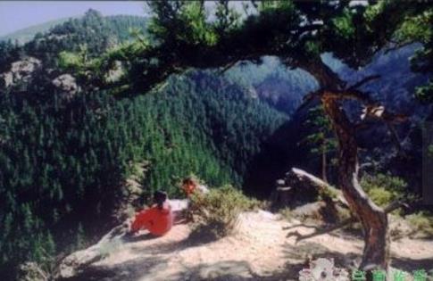 寧夏十大旅游景點排行榜 寧夏有什么好玩的地方去旅游