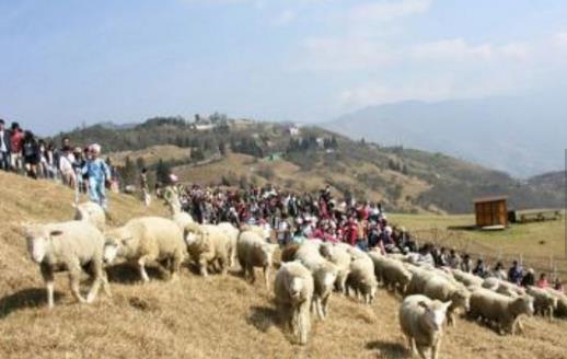 臺灣十大旅游景點排行榜 臺灣有什么好玩的地方去旅游