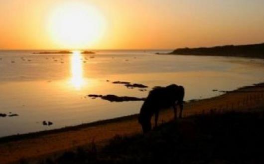 遼寧葫蘆島市十大旅游景點排行榜 葫蘆島有什么好玩的地方去旅游