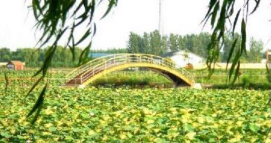 河北省保定市十大旅游景點排行榜 保定有什么好玩的地方去旅游