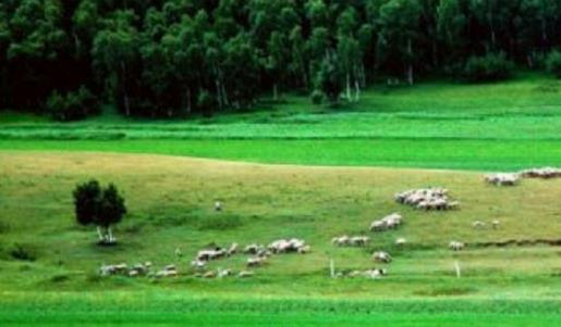 河北省承德市十大旅游景點排行榜 承德有什么好玩的地方去旅游