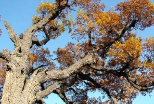 山西省晉中市十大旅游景點排行榜 晉中有什么好玩的地方去旅游