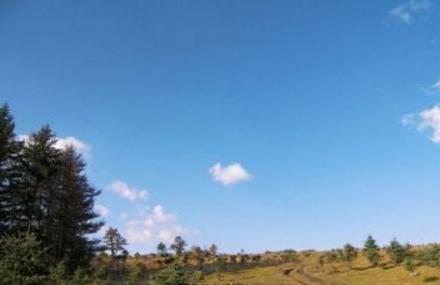 山西省忻州市十大旅游景點排行榜 忻州有什么好玩的地方去旅游