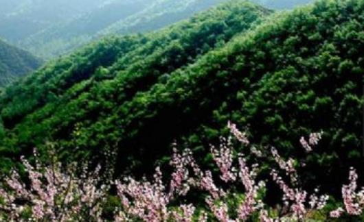 山西省呂梁市十大旅游景點排行榜 呂梁有什么好玩的地方去旅游