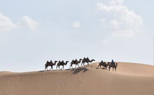 內(nèi)蒙古鄂爾多斯十大旅游景點(diǎn)排行榜 鄂爾多斯有什么好玩的地方