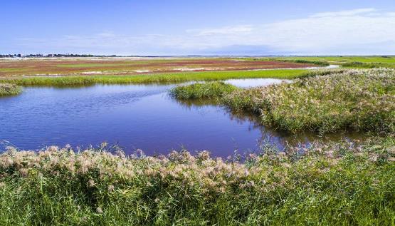 吉林省白城市十大旅游景點排行榜 白城有什么好玩的地方