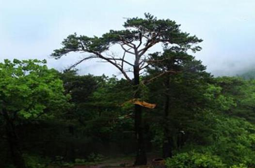 吉林省通化市十大旅游景點排行榜 通化有什么好玩的地方