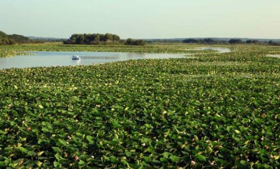 黑龍江省雞西十大旅游景點排行榜 雞西有什么好玩的地方