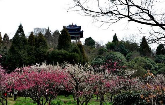 江蘇省南京十大旅游景點排行榜 南京有什么好玩的地方
