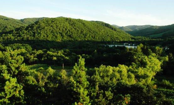 黑龍江省雙鴨山十大旅游景點排行榜 雙鴨山有什么好玩的地方