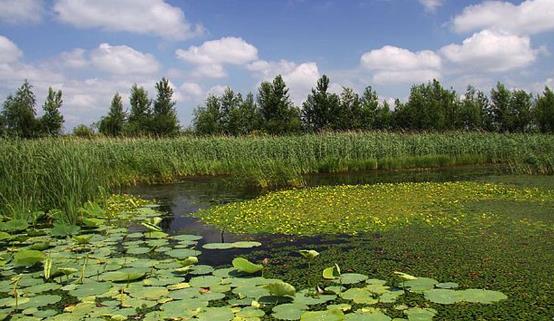 黑龍江省雙鴨山十大旅游景點排行榜 雙鴨山有什么好玩的地方