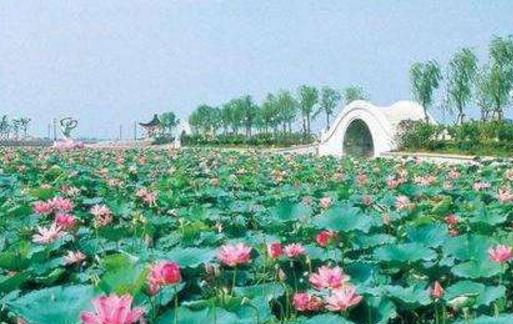 江蘇省無錫十大旅游景點排行榜 無錫有什么好玩的地方