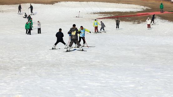 江蘇省鹽城市十大旅游景點排行榜 鹽城有什么好玩的地方