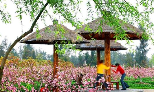 浙江省臺州市十大旅游景點排行榜 臺州有什么好玩的地方