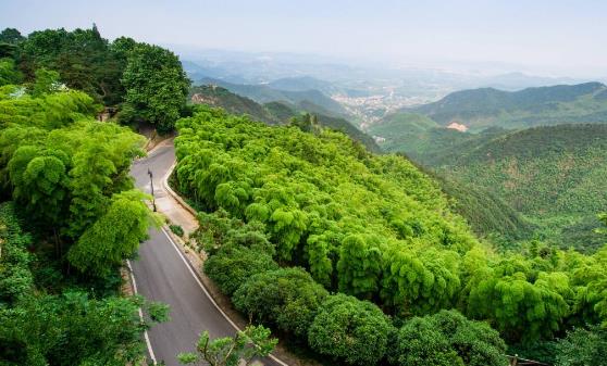 浙江省湖州市十大旅游景點排行榜 湖州有什么好玩的地方