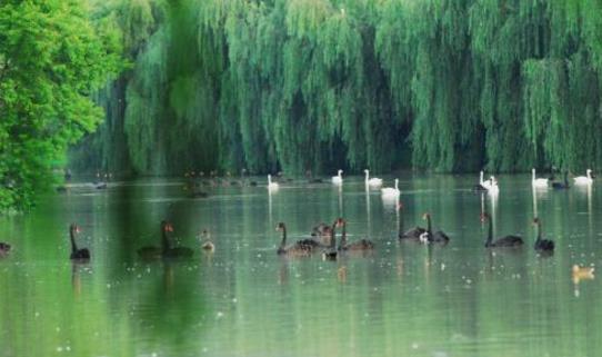 安徽省阜陽市十大旅游景點排行榜 阜陽有什么好玩的地方