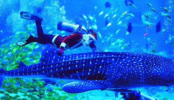 山東省煙臺市十大旅游景點排行榜 煙臺有什么好玩的地方