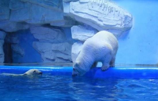 山東省德州市十大旅游景點(diǎn)排行榜 德州有什么好玩的地方