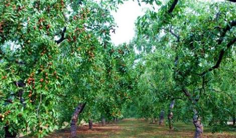 山東省德州市十大旅游景點(diǎn)排行榜 德州有什么好玩的地方