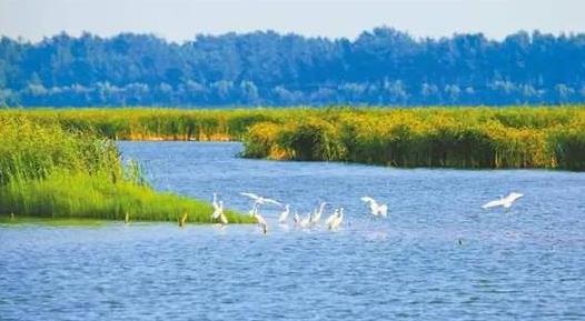 山東省菏澤市十大旅游景點排行榜 菏澤有什么好玩的地方