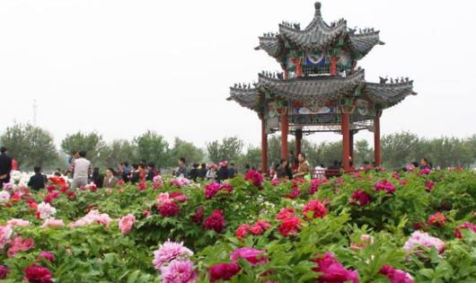 山東省菏澤市十大旅游景點排行榜 菏澤有什么好玩的地方