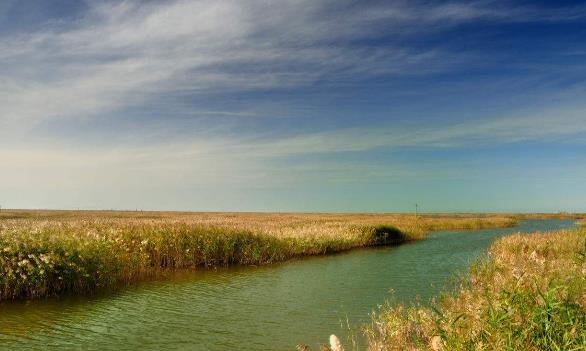 山東省東營(yíng)市十大旅游景點(diǎn)排行榜 東營(yíng)有什么好玩的地方