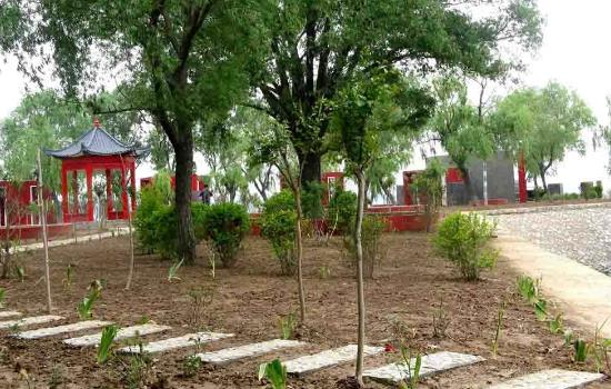 山東省東營(yíng)市十大旅游景點(diǎn)排行榜 東營(yíng)有什么好玩的地方