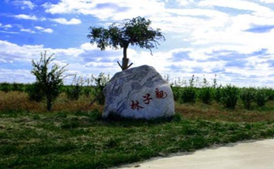 山東省東營(yíng)市十大旅游景點(diǎn)排行榜 東營(yíng)有什么好玩的地方