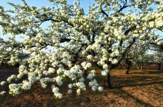 山東省濱州市十大旅游景點排行榜 濱州有什么好玩的地方