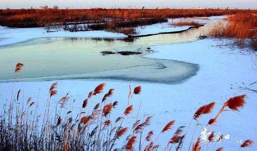 山東省濱州市十大旅游景點排行榜 濱州有什么好玩的地方