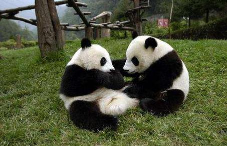 四川省阿壩市十大旅游景點排行榜 阿壩有什么好玩的地方