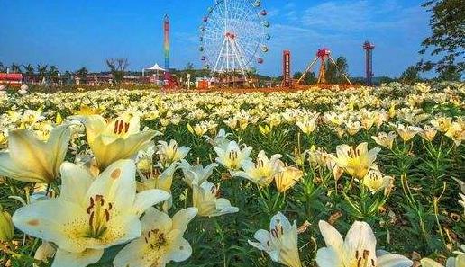 四川省綿陽市十大旅游景點排行榜 綿陽有什么好玩的地方