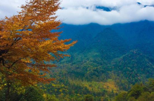 四川省樂山市十大旅游景點(diǎn)排行榜 樂山有什么好玩的地方