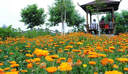 四川省眉山市十大旅游景點排行榜 眉山有什么好玩的地方