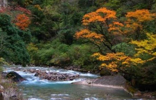 四川省雅安市十大旅游景點排行榜 雅安有什么好玩的地方