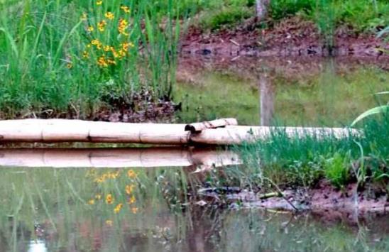 云南省普洱市十大旅游景點(diǎn)排行榜 普洱有什么好玩的地方